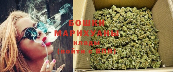 дмт Дмитровск