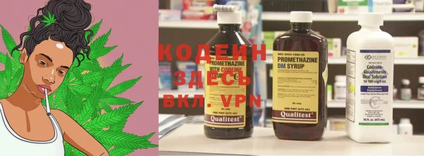 прущие грибы Дмитриев