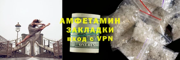 прущие грибы Дмитриев
