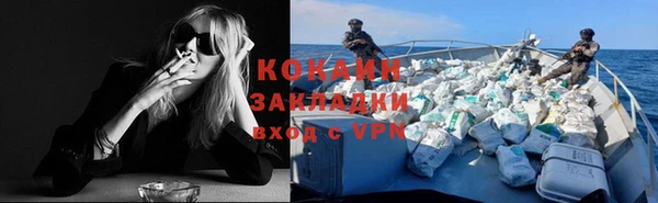 дмт Дмитровск