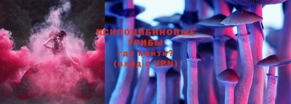 прущие грибы Дмитриев