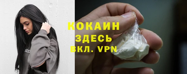 дмт Дмитровск