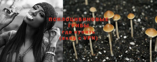 дурь Дмитров
